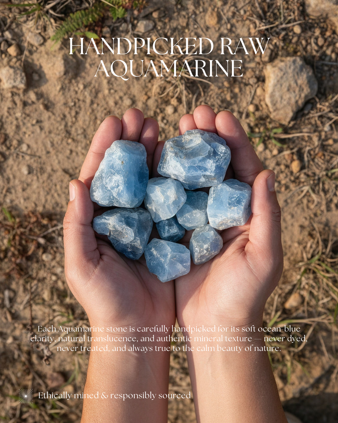 Handpicked raw aquamarine stones in cupped hands on natural ground, ethically sourced Minas Gerais Brazil