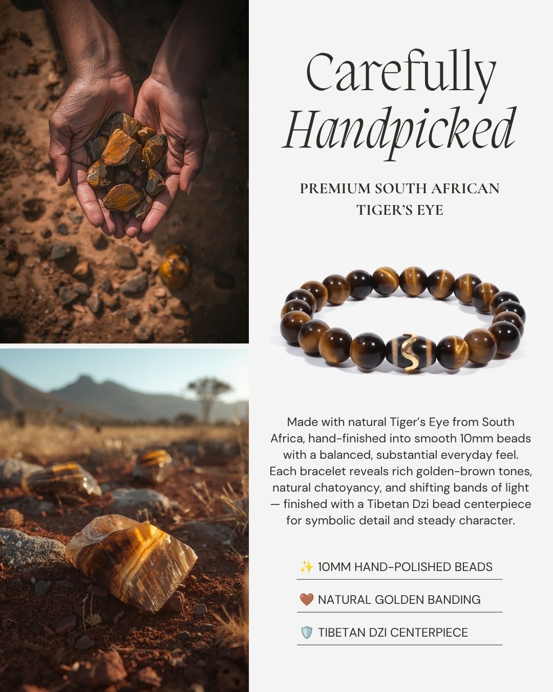 Kailash Tiger’s Eye Dzi Beaded Bracelet made with natural South African Tiger’s Eye, 10mm hand-polished beads, rich golden-brown tones, natural chatoyancy, and a Tibetan Dzi bead centerpiece.